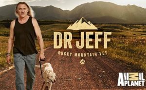 Dr Jeff Rokcy Mountain Vet Season 7 Release Date