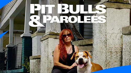 Pit Bulls and Parolees Season 14 Release Date