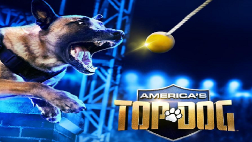 America's Top Dog Season 2 Release Date