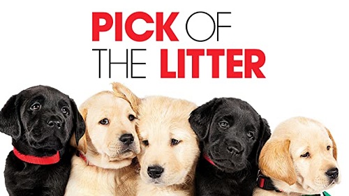 Pick of the Litter Season 2 Release Date