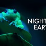 Night on Earth Season 2 Release Date